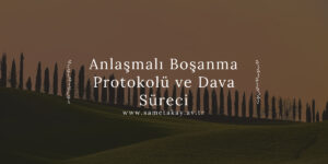 Anlaşmalı Boşanma Protokolü ve Dava Süreci