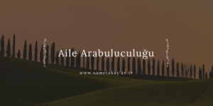 Aile Arabuluculuğu